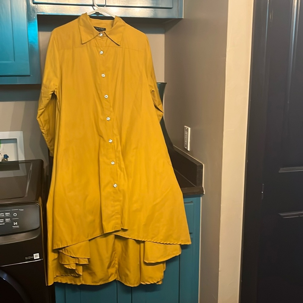 Step in Style Tent Swing Tunic Dress Shirt